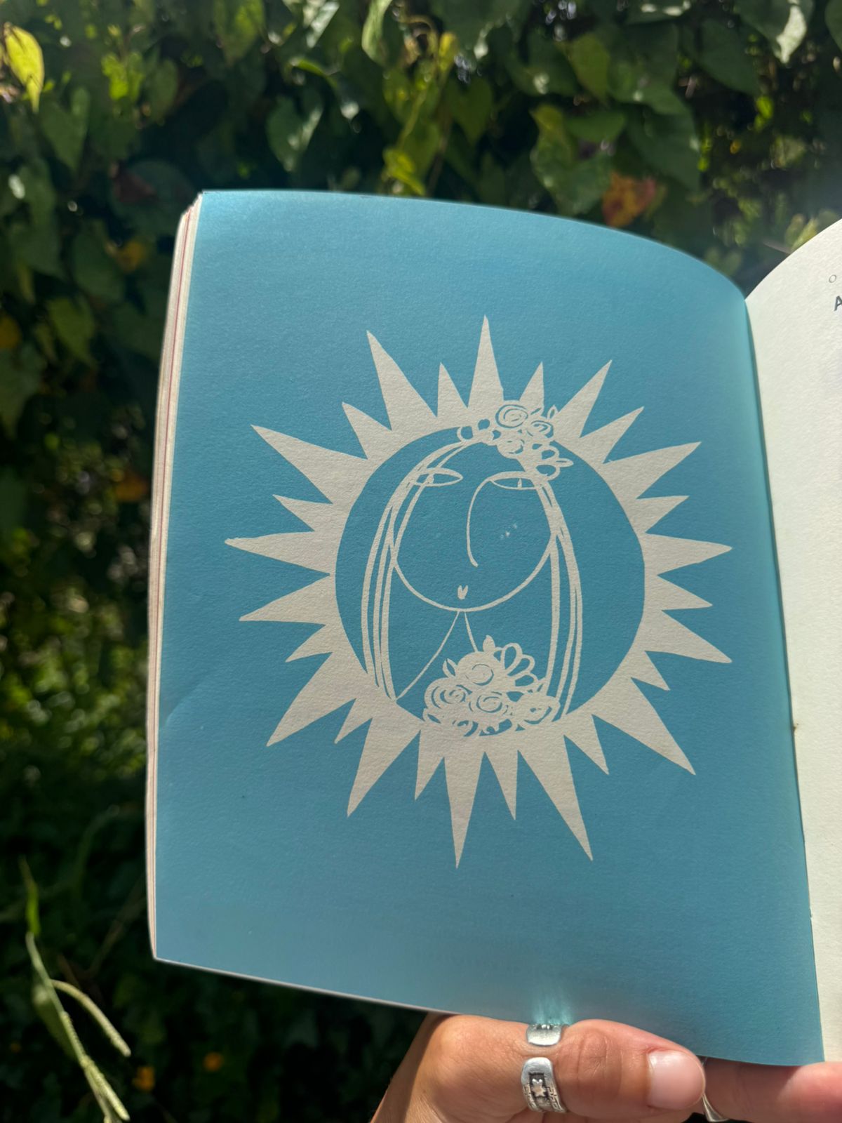 Leitura Numerológica