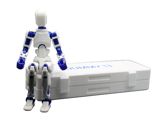 Dummy 13 articulated crash-test dummy, with storage case