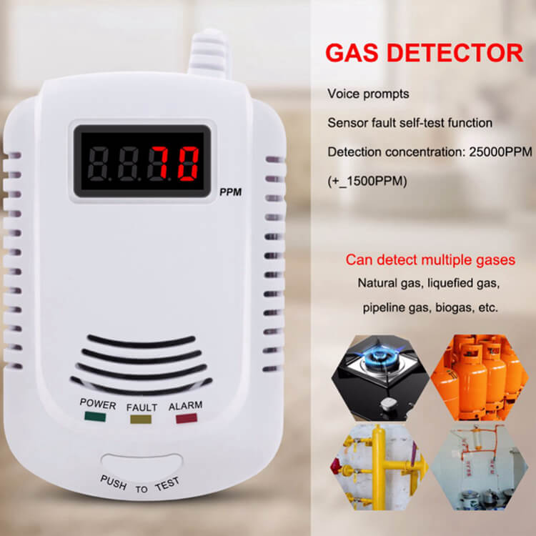Multi-Gas Detector