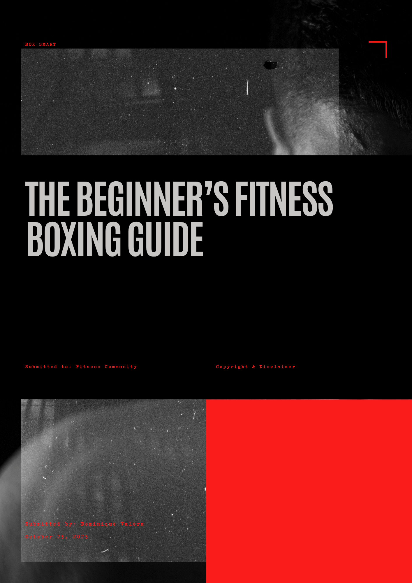 Boxing Coaching Program