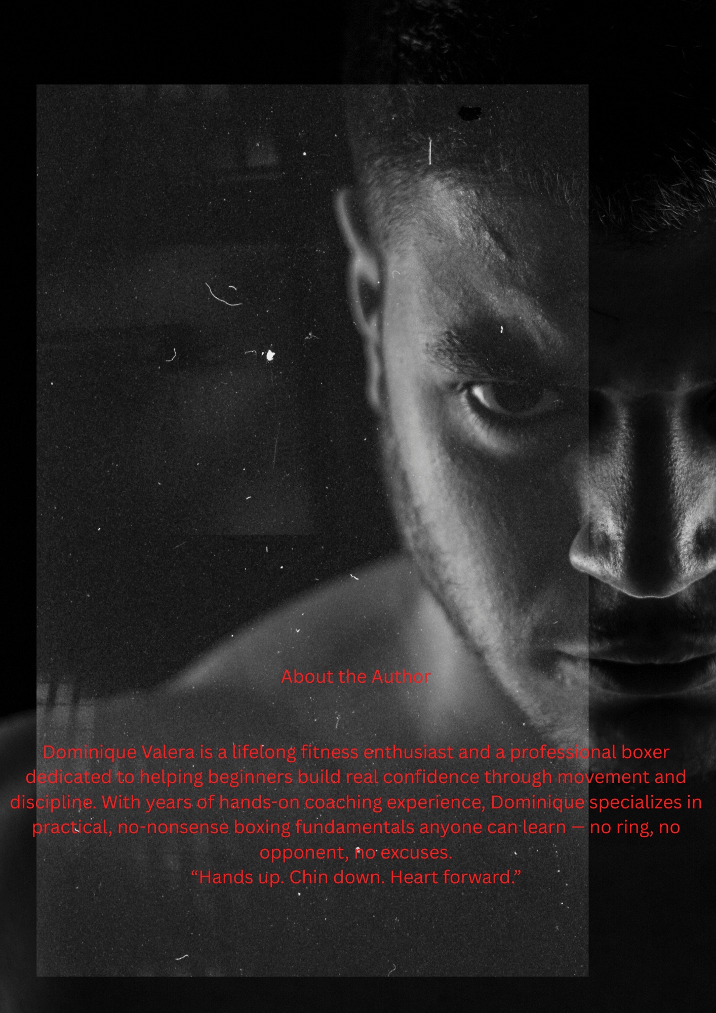 Boxing Coaching Program