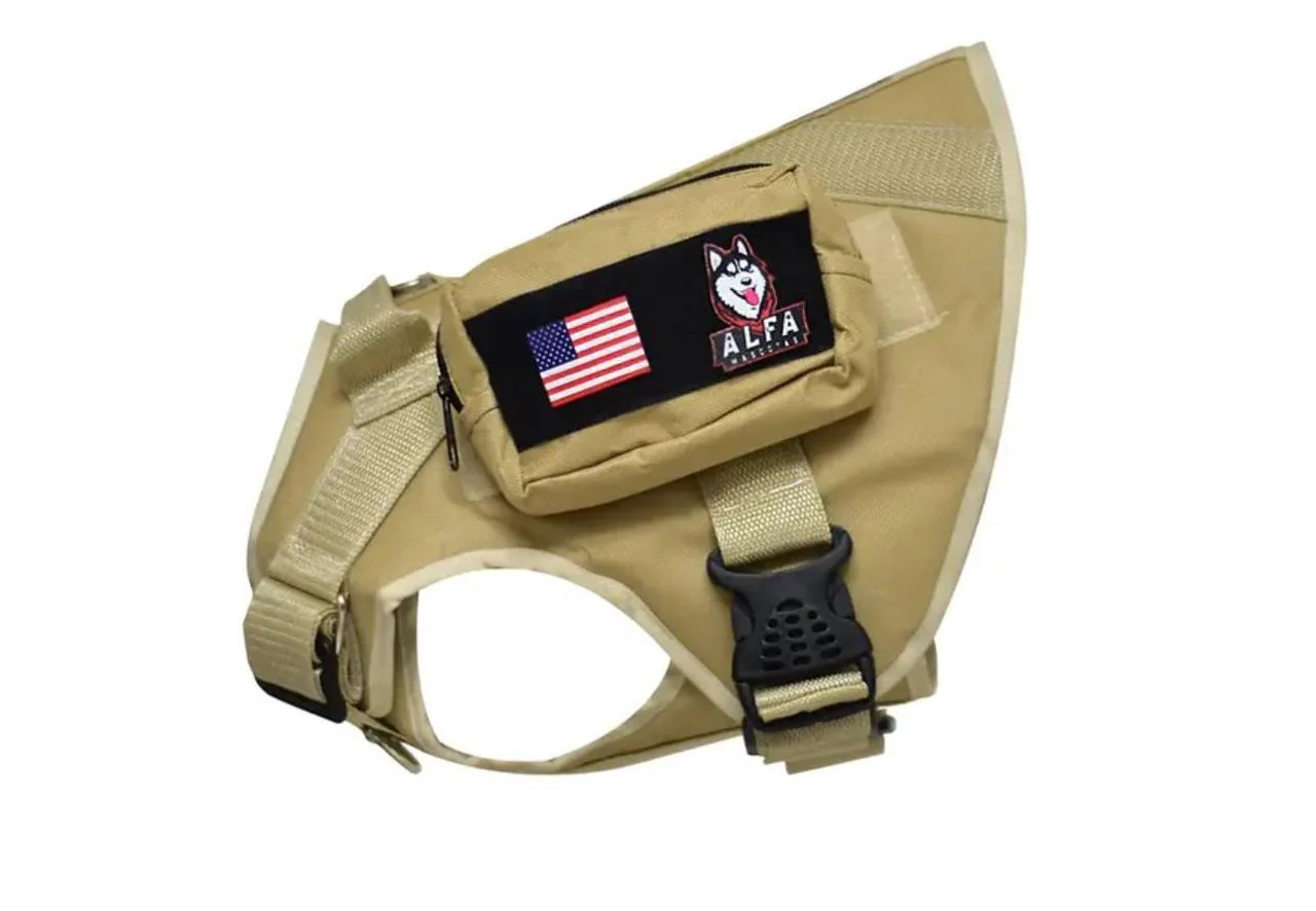 Alfa Táctico Dog