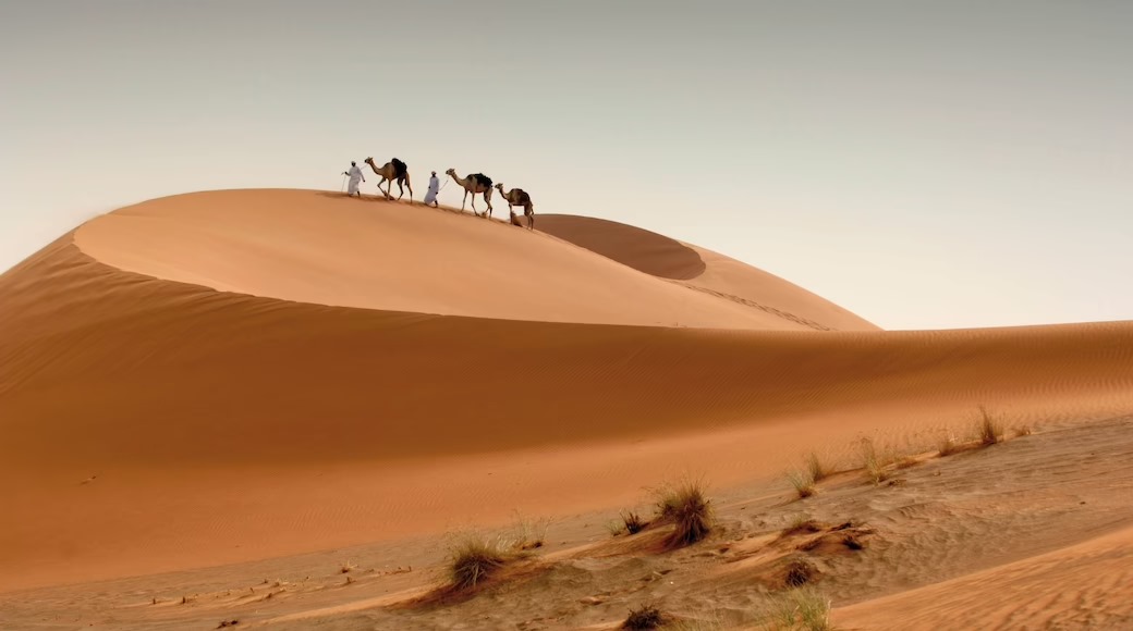 Abu Dahbi- Paquete Mega Fan