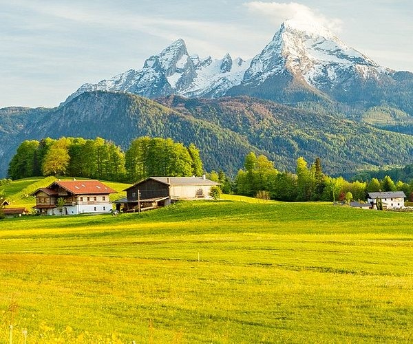 Austrian- Package Mega Fan