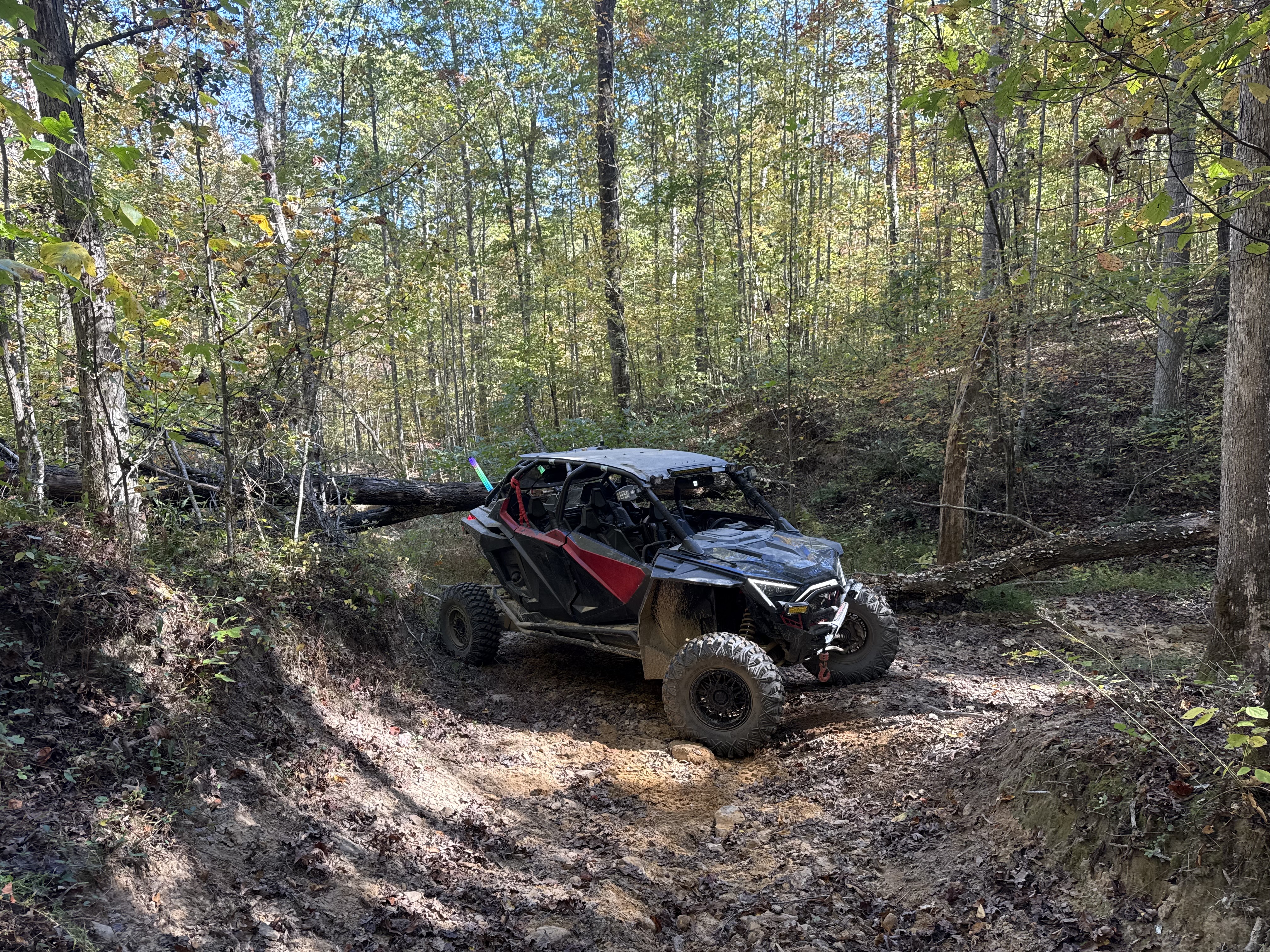 🔵 INTERMEDIATE LEVEL GUIDED RIDE @ WILDCAT OFFROAD