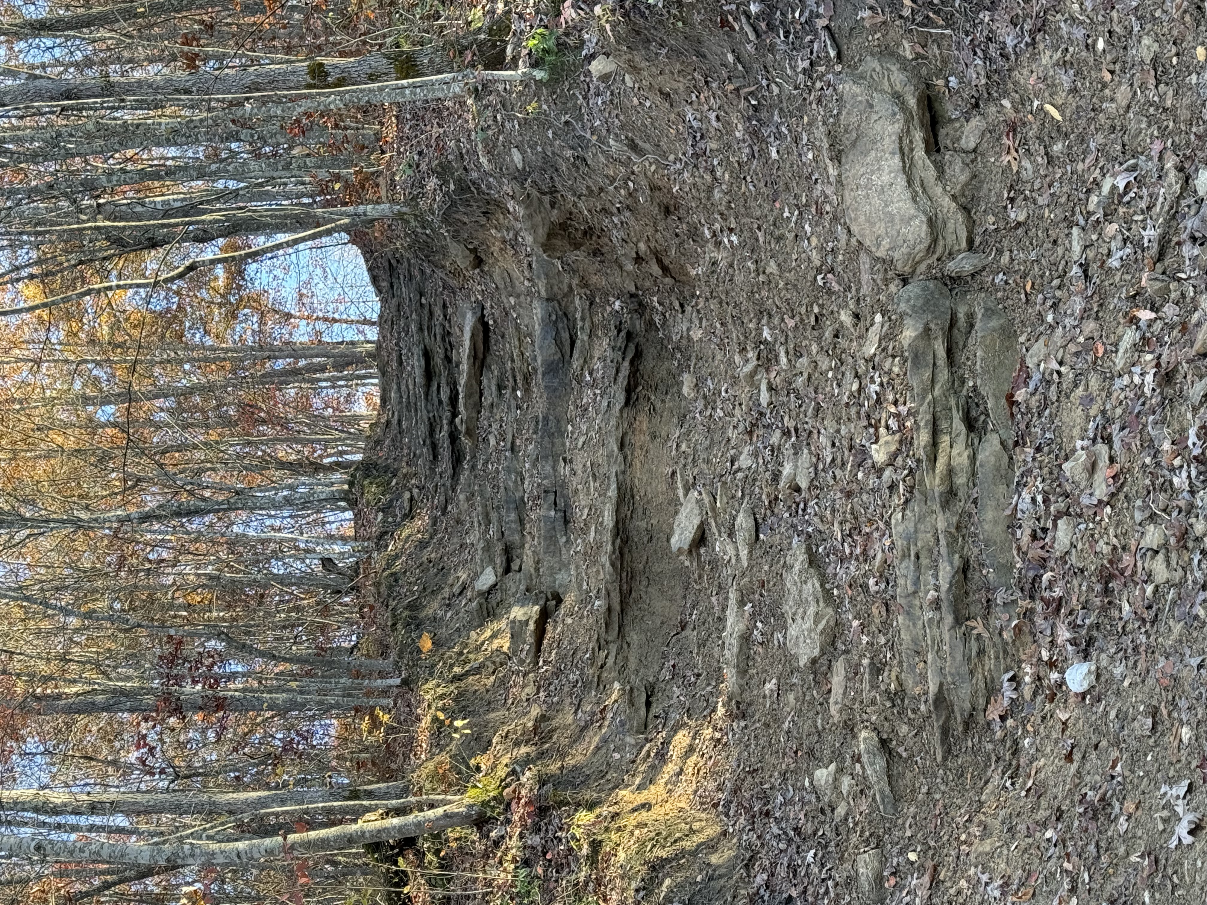 ⚫ 🔴 ADVANCED LEVEL GUIDED RIDE @ WILDCAT OFFROAD 