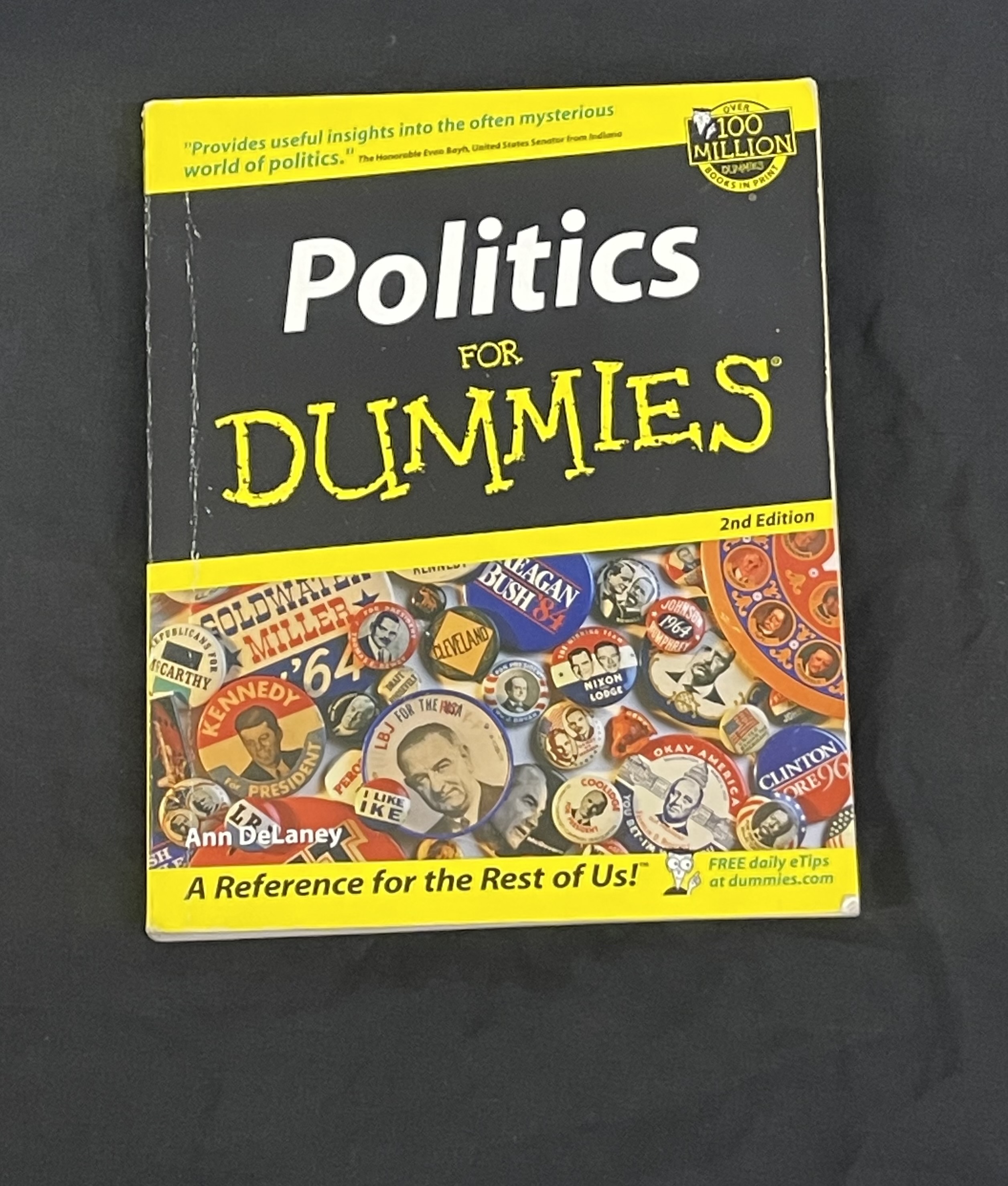 Politics For Dummies (2nd Edition)