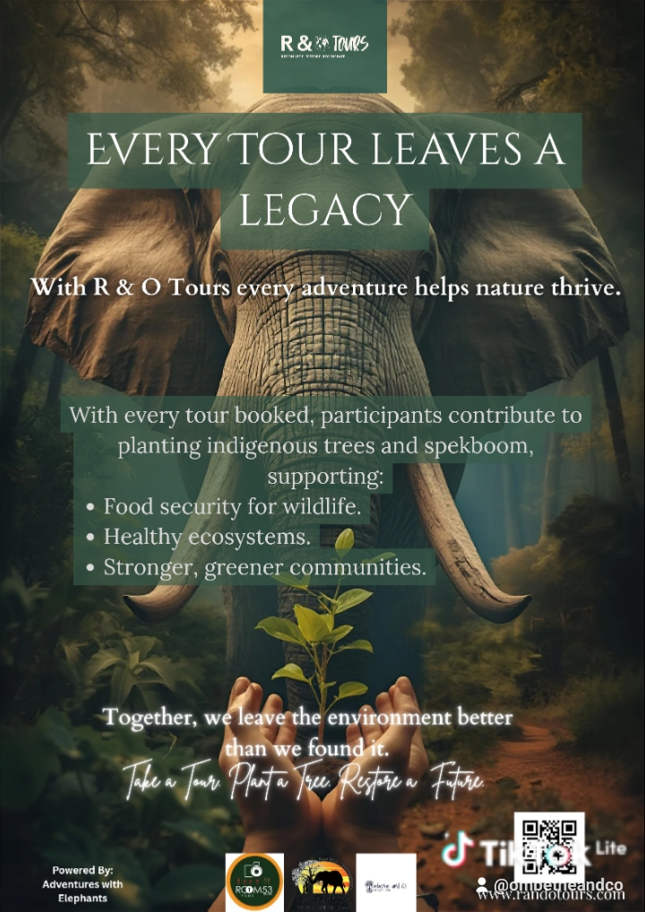 Elephant Encounter: Guided Tour, Transport & Nature Walk