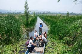 Xochimilco Sunrise: Kayak & Ancestral Ritual