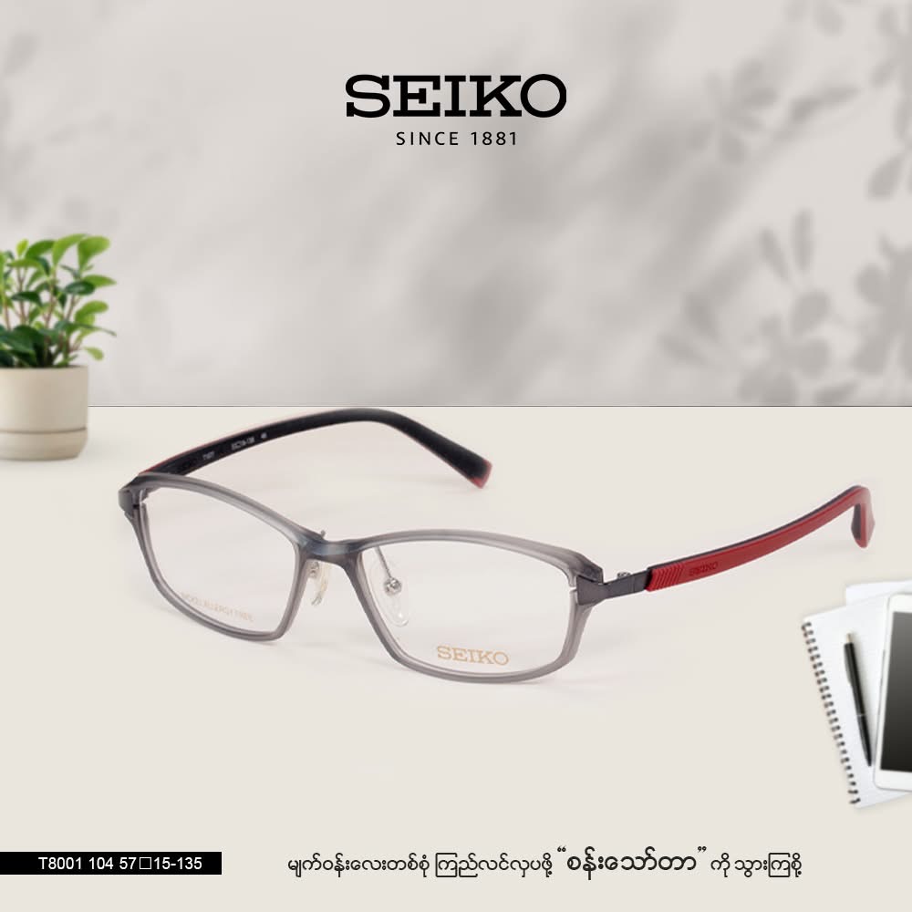 Seiko Eyeglasses Frame
