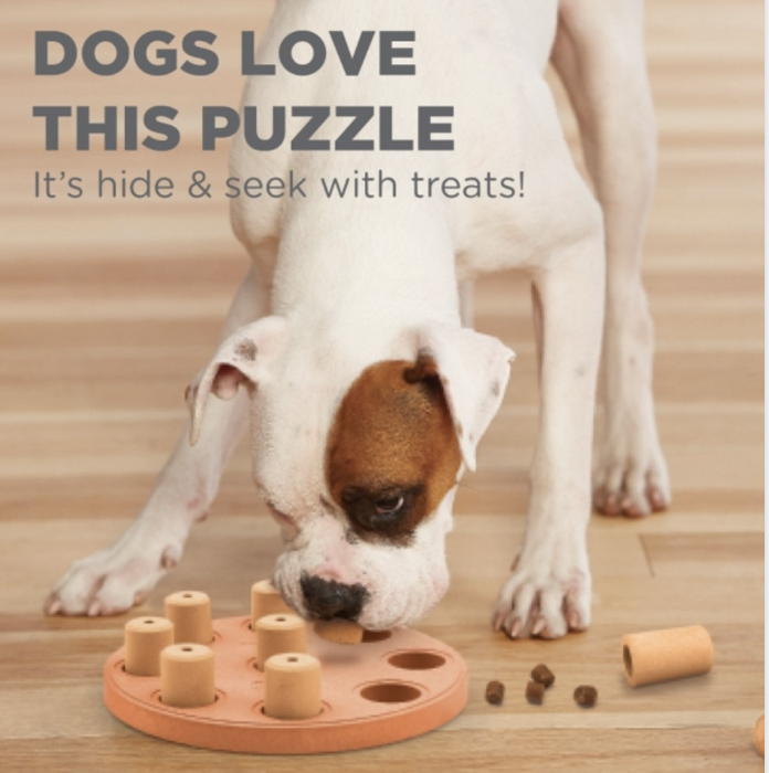 Dog Treat Puzzle Toy
