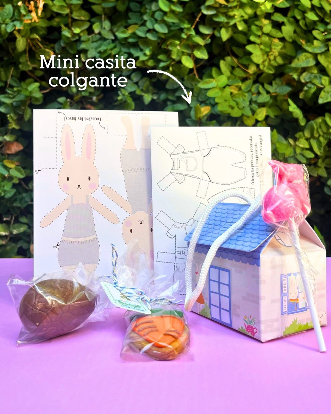 🏠Mini casita colgante
