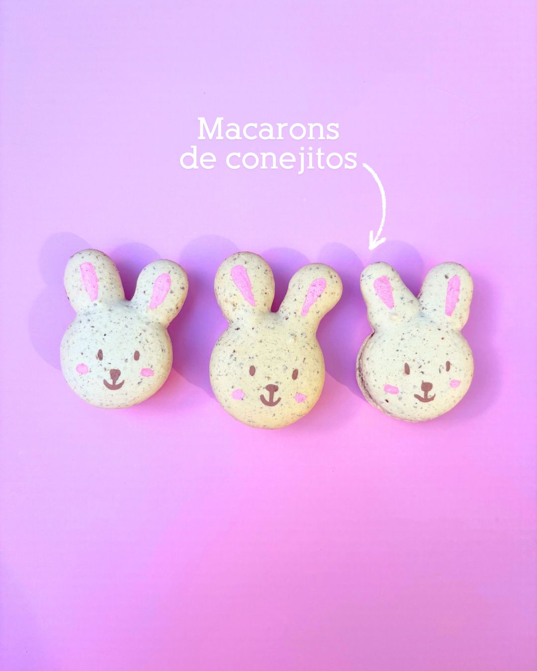  🌸Macarons de conejitos