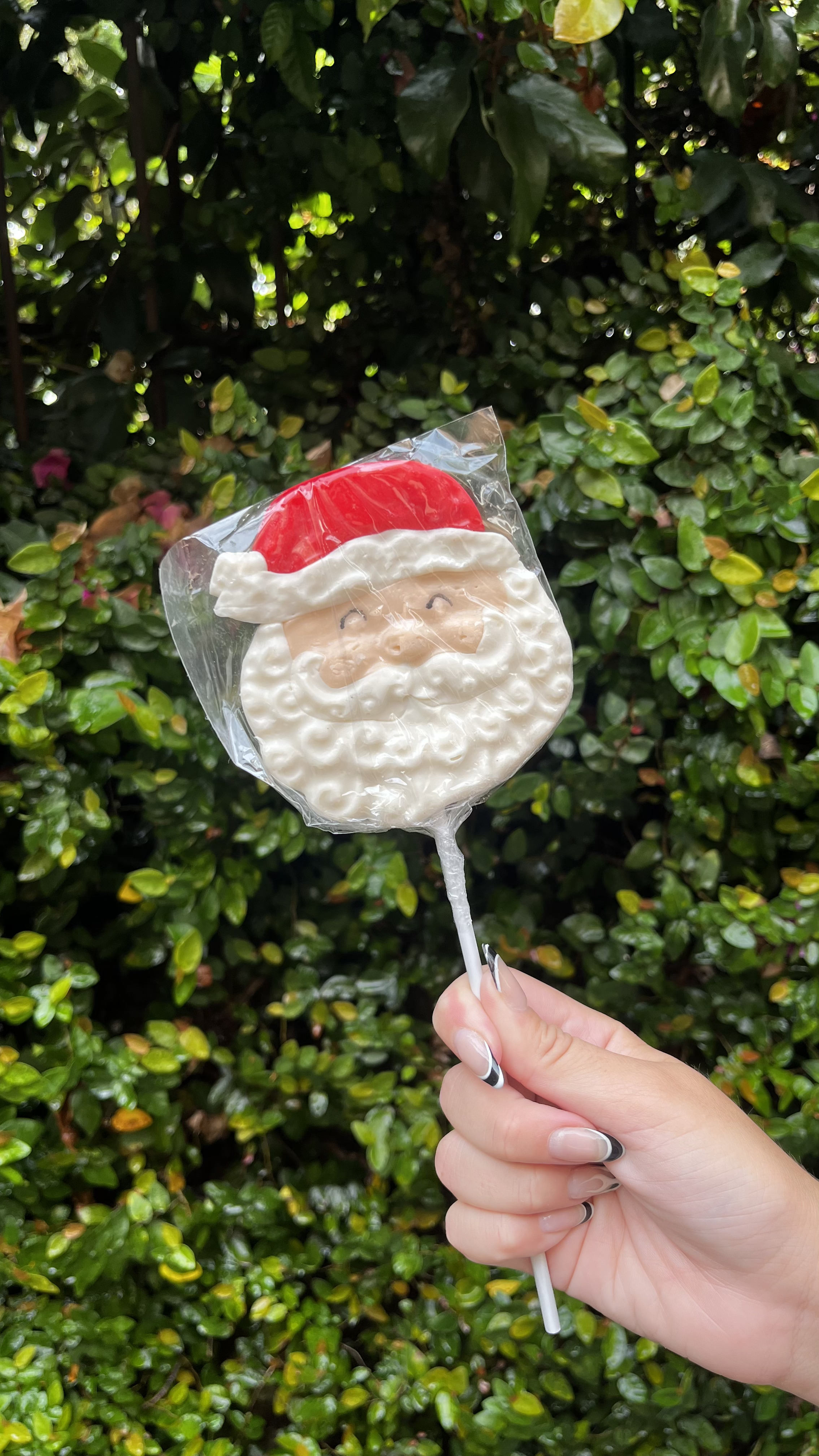 Paleta gigante Papá Noel