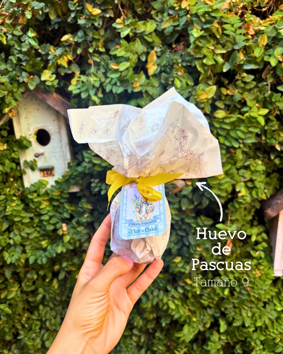 🥚Huevos de Pascuas. (Tamaño Nª 9)