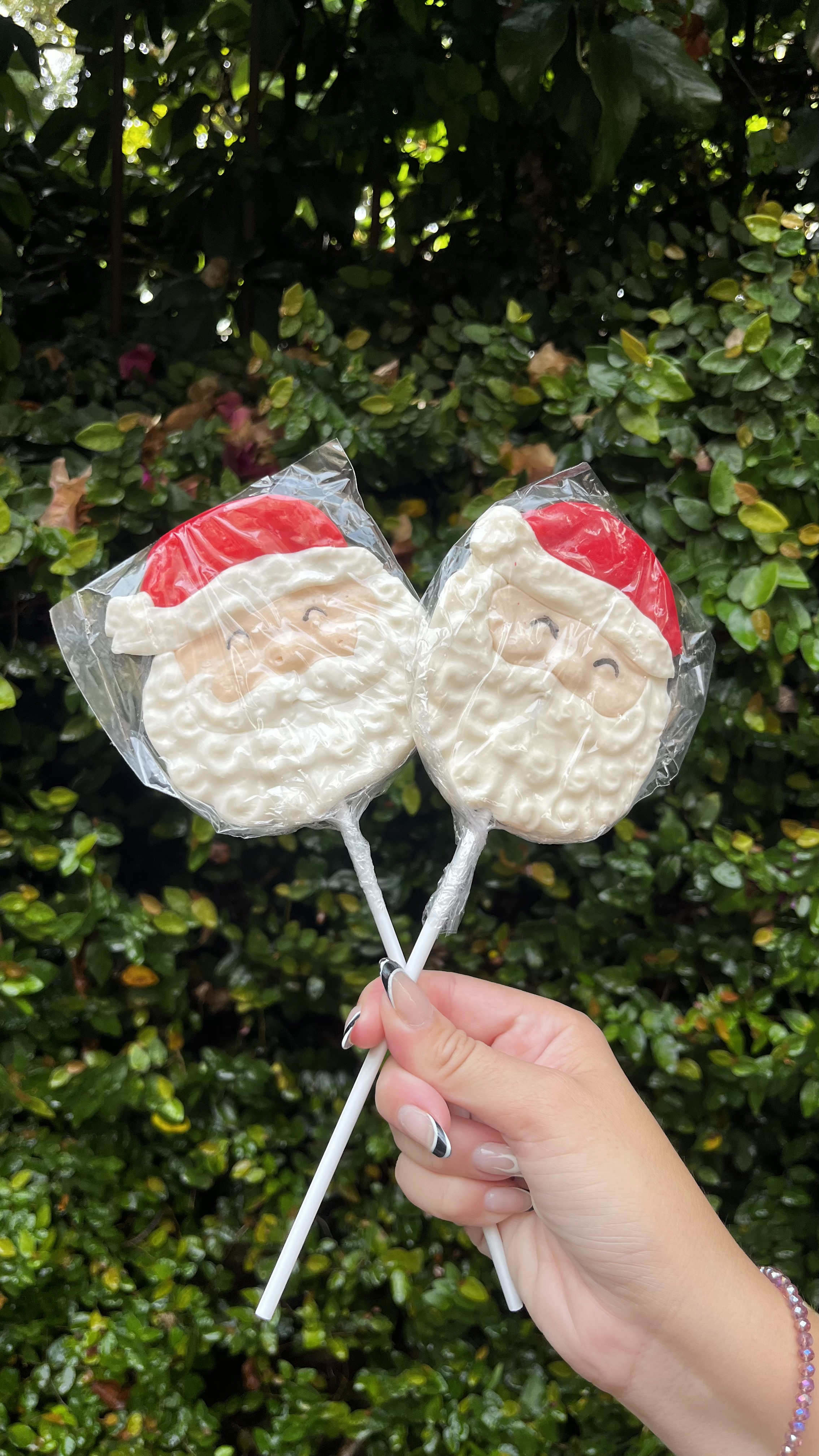 Paleta gigante Papá Noel x2