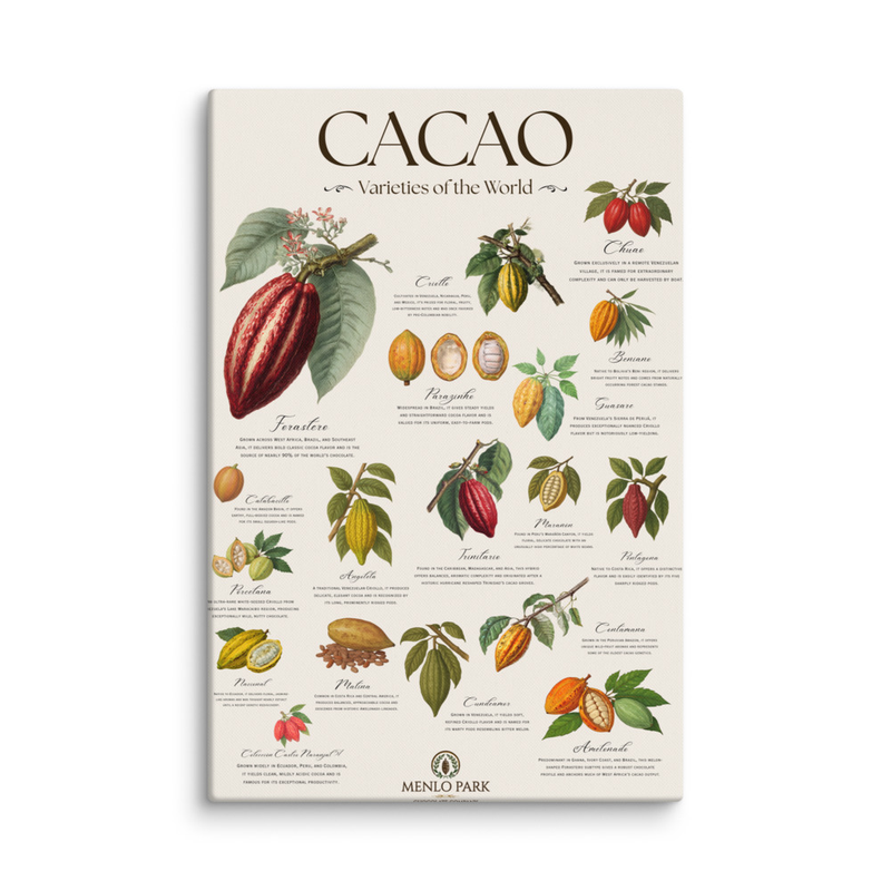 Cacao: Varieties of the World - Canvas Prints