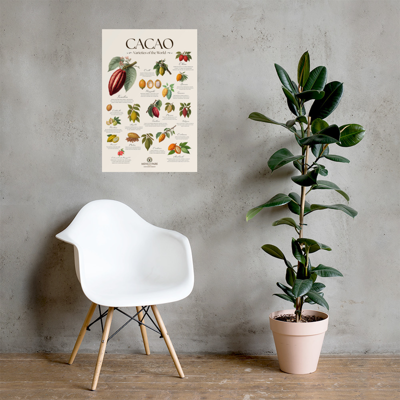 Cacao: Varieties of the World Poster