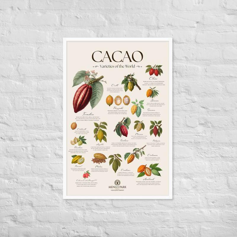 Cacao: Varieties of the World - Framed Art