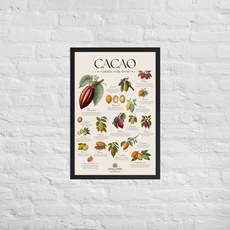Cacao: Varieties of the World - Framed Art