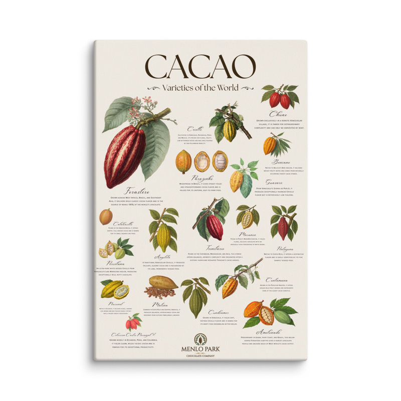 Cacao: Varieties of the World - Canvas Prints