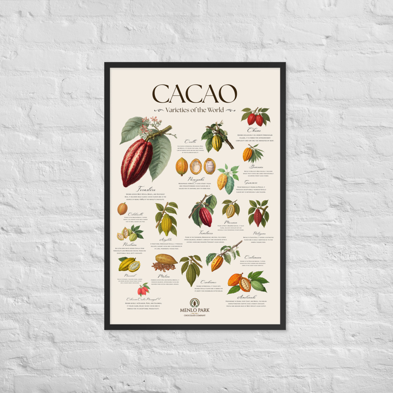 Cacao: Varieties of the World - Framed Art