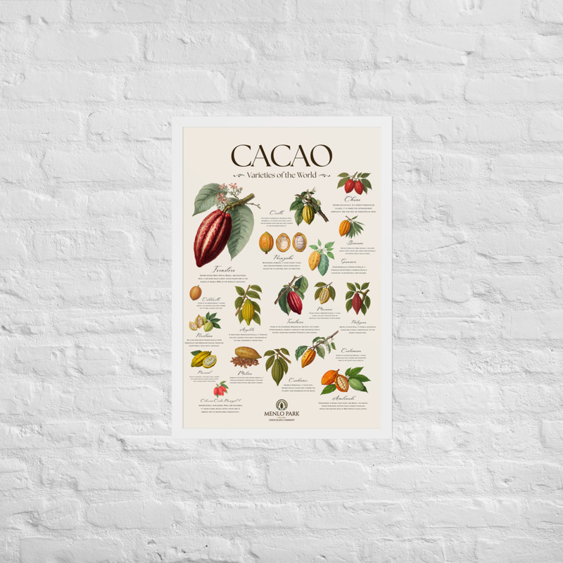 Cacao: Varieties of the World - Framed Art