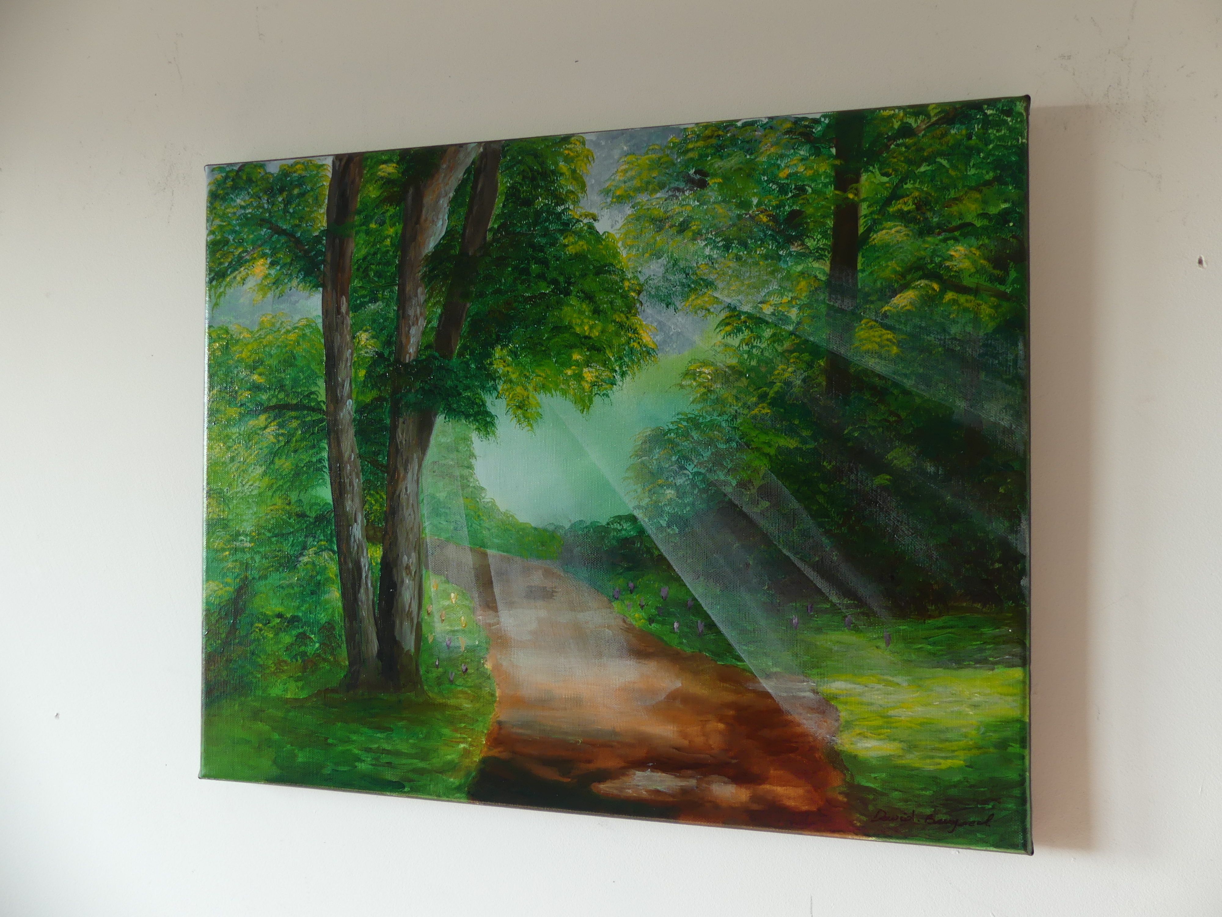 Lumière apaisante II