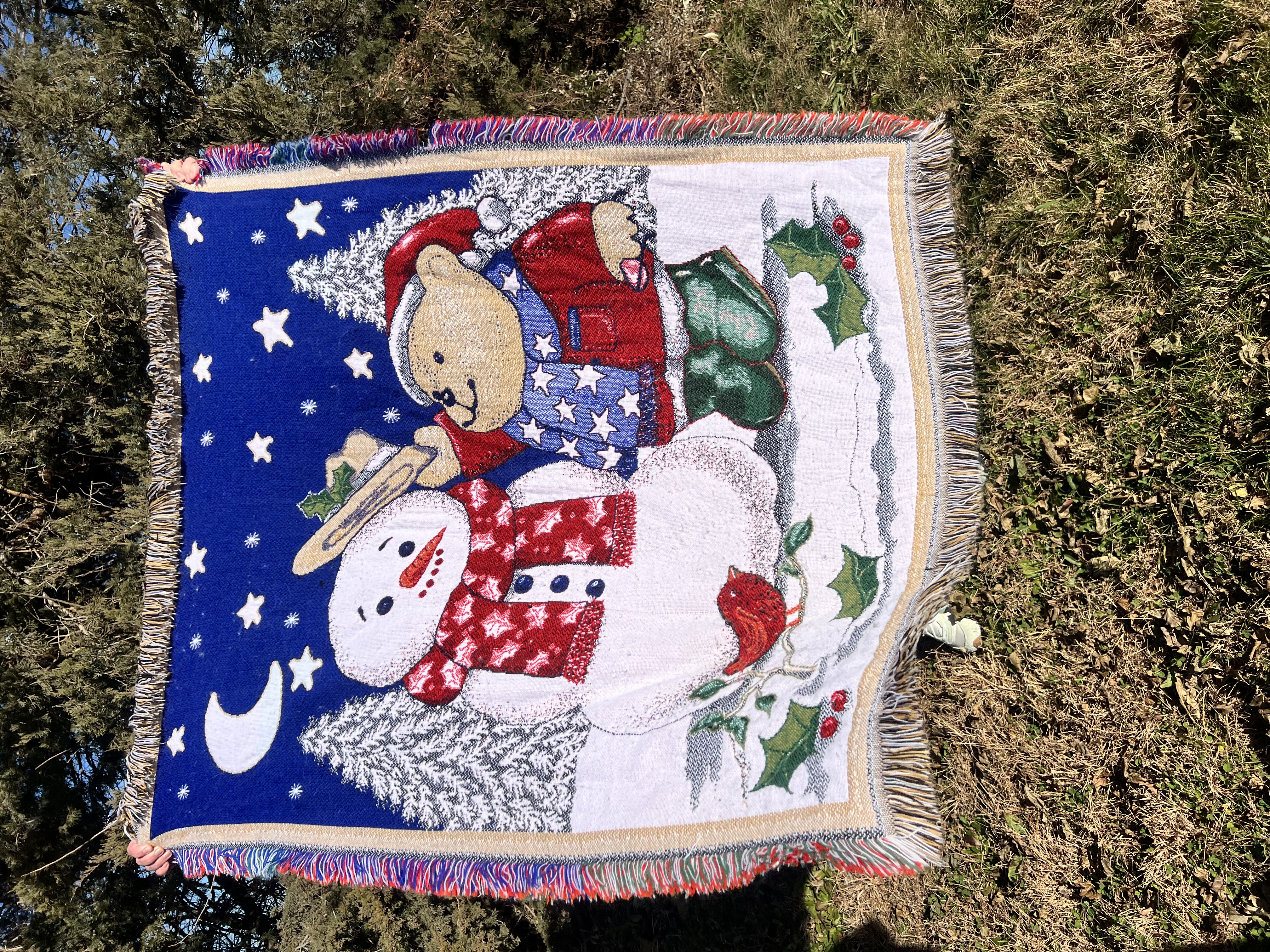 Snowman Throw Sweatshirt