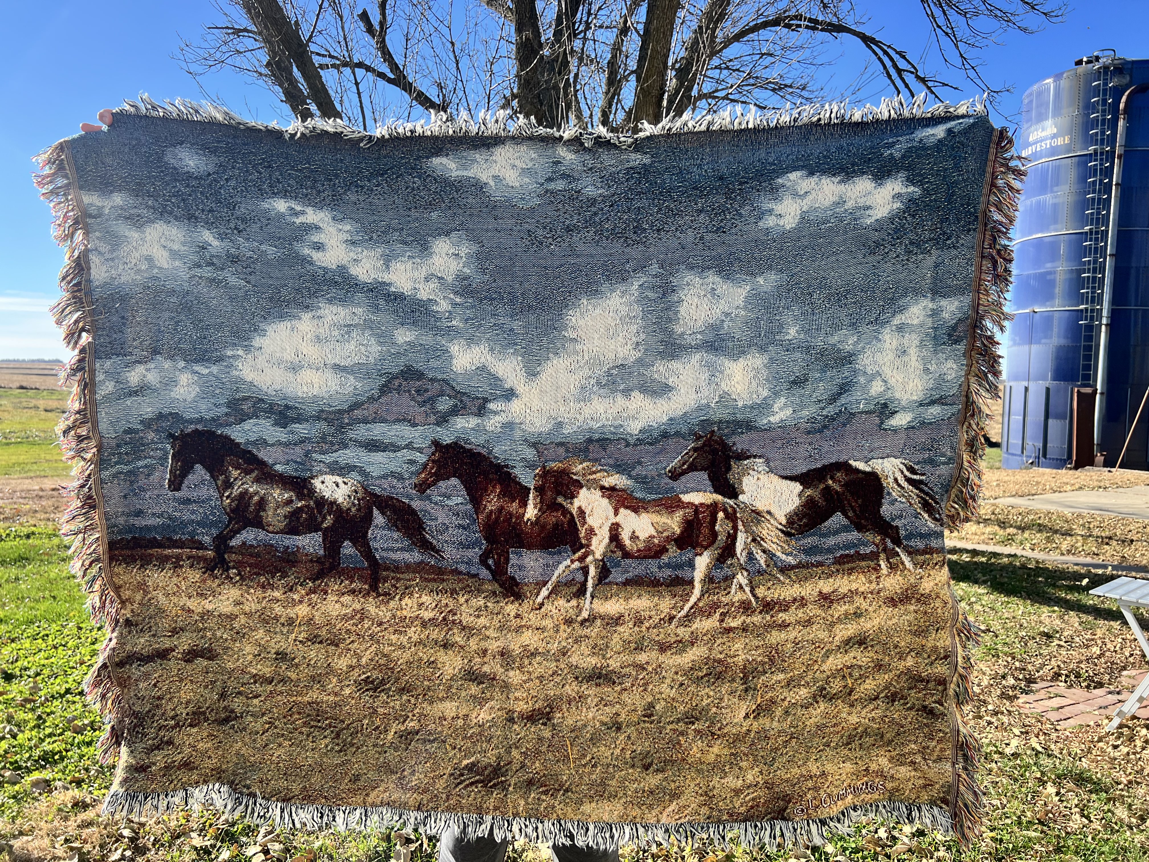 Horses Throw Sweatshirt