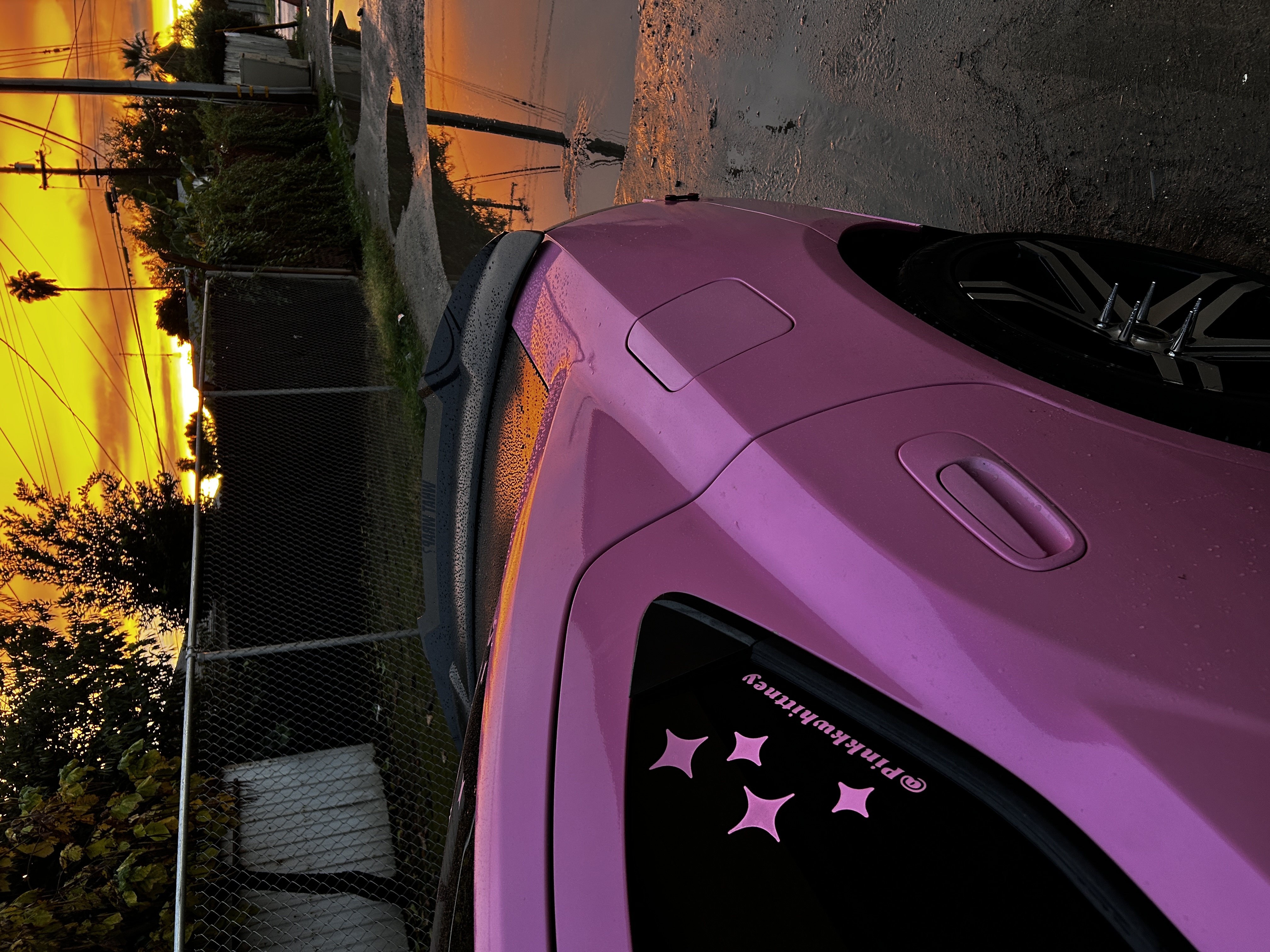 PINKALICIOUS Windshield Banner 