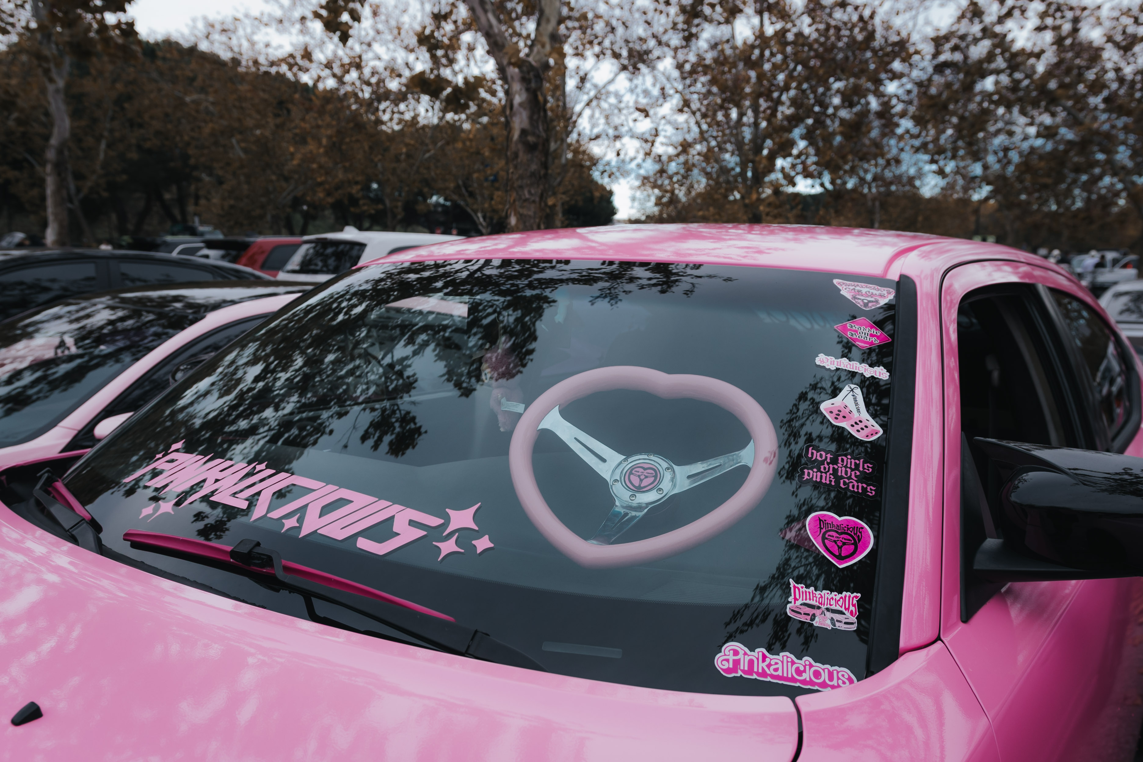 PINKALICIOUS Windshield Banner 