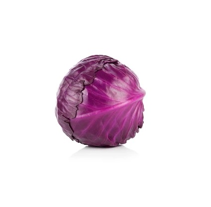 16cnt Red cabbage