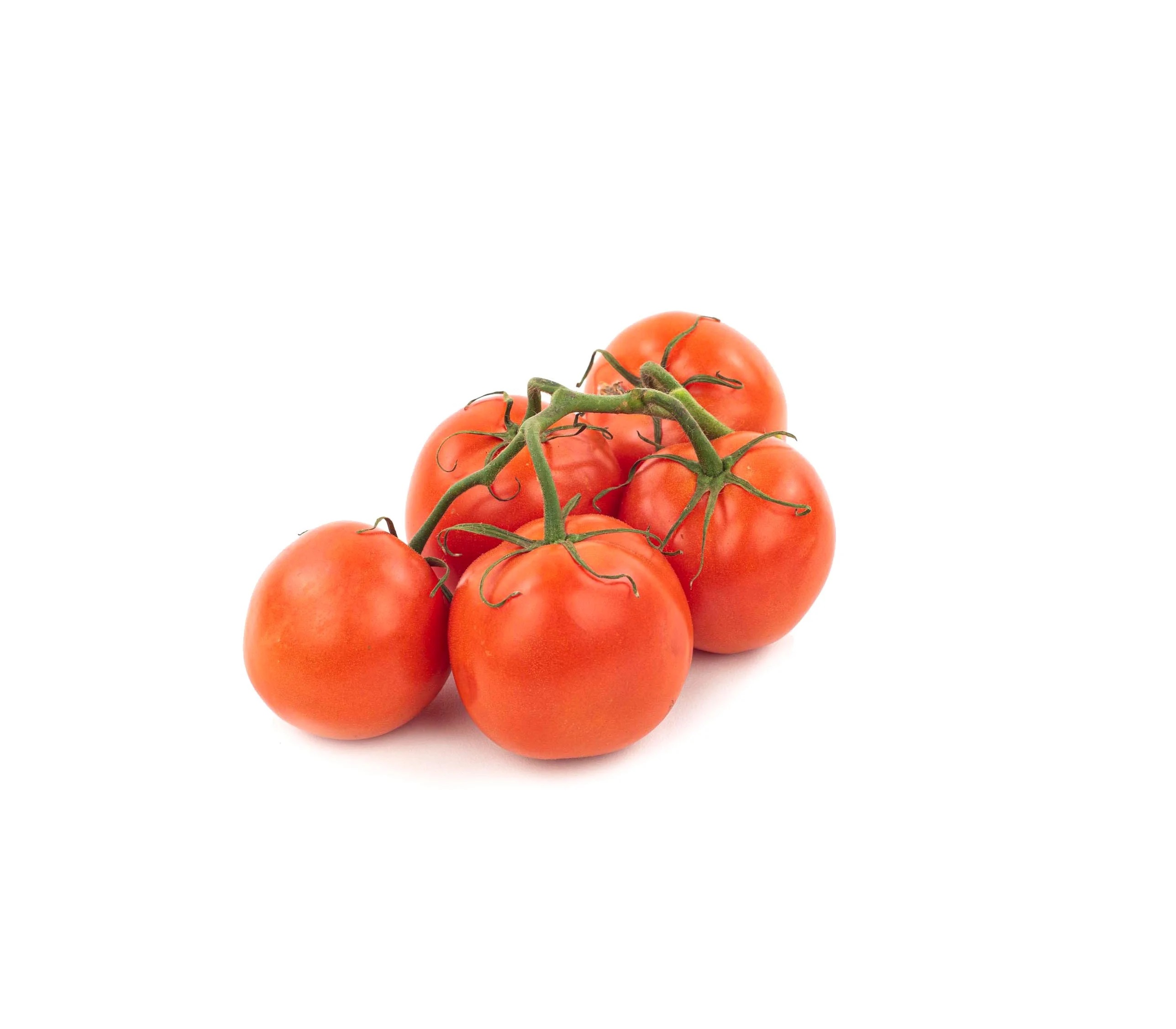 Tomato on the vine