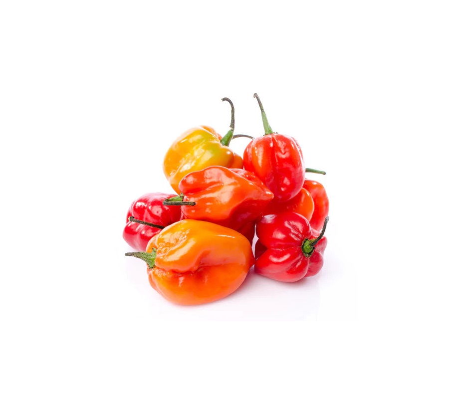 Habanero Peppers