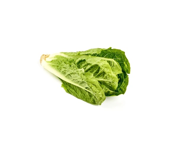 24 Romaine lettuce