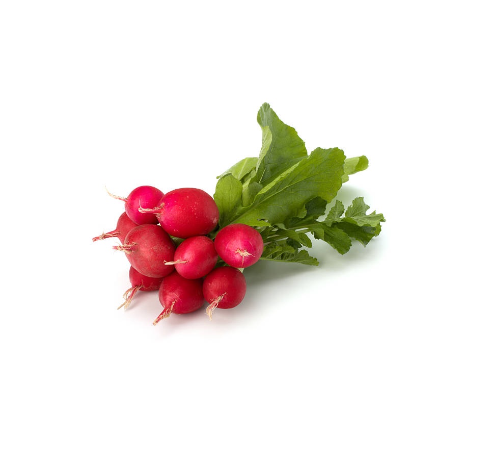 24cnt Radishe