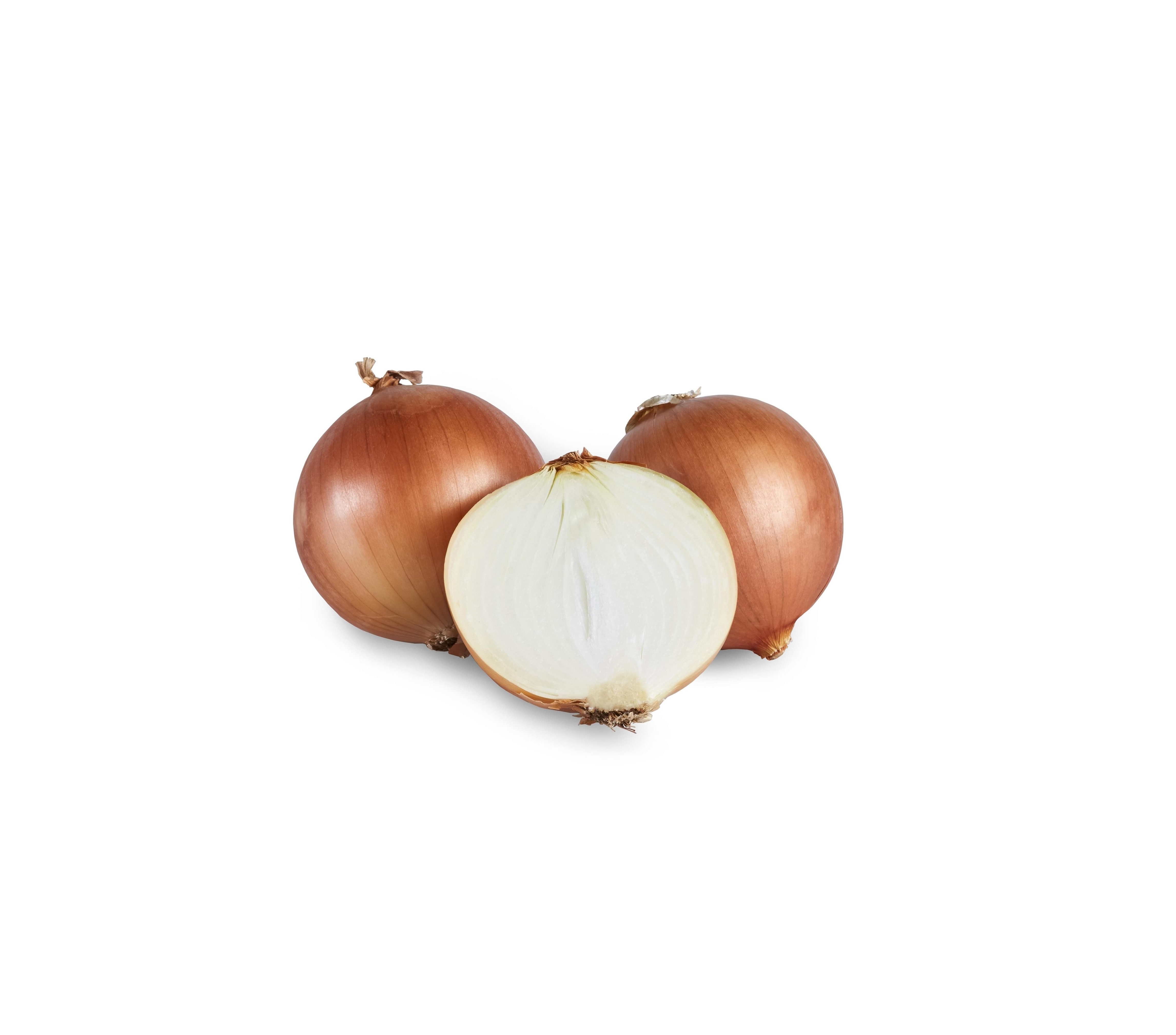 50lb Spanish Onion