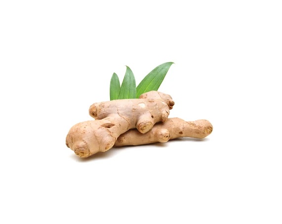 Fresh Ginger Root