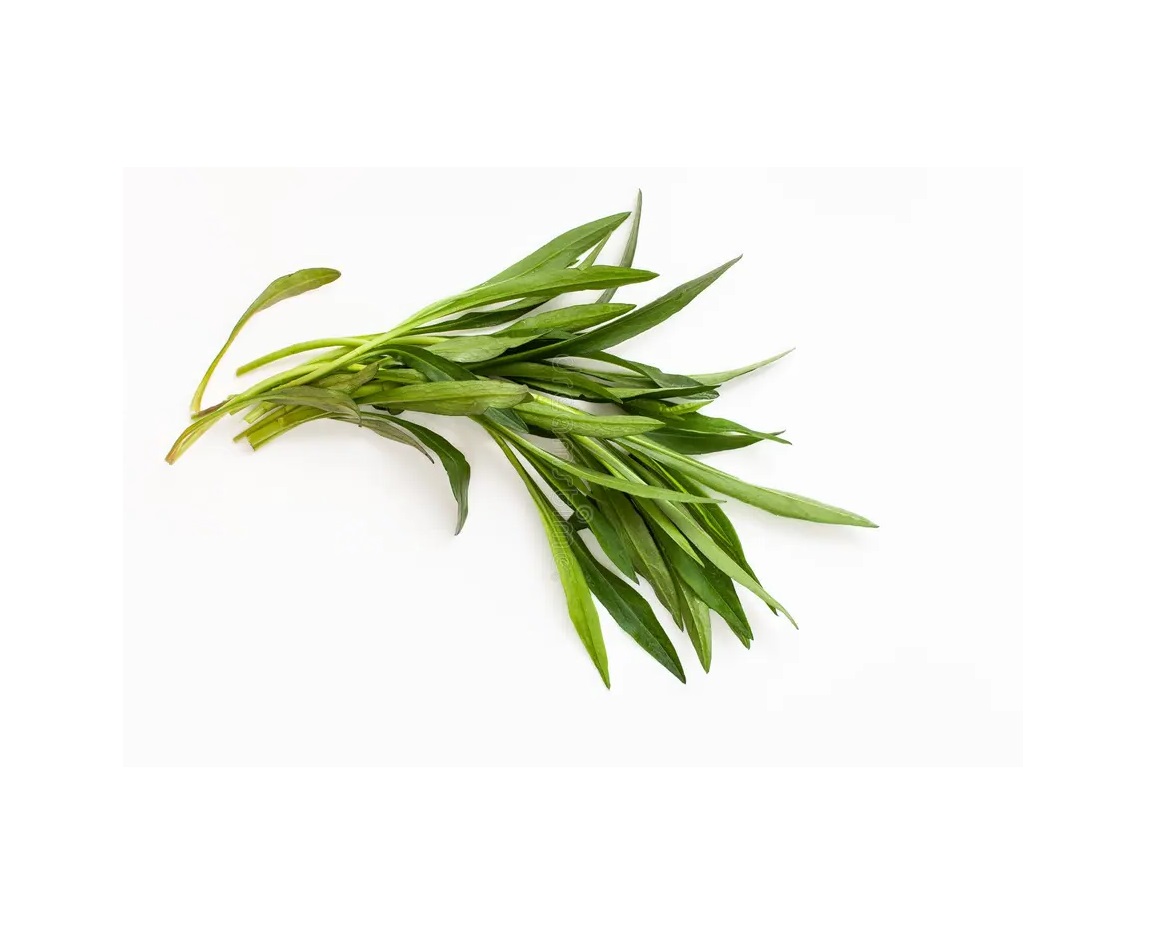 Fresh Tarragon