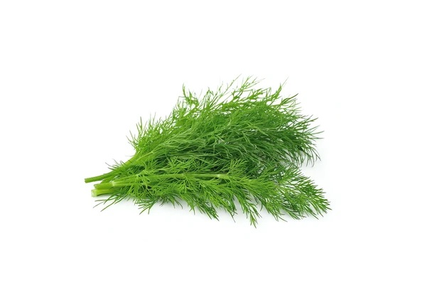 24 Fresh dill weed 