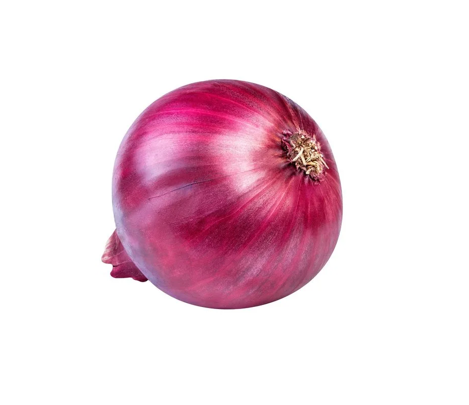10lb Red Onion