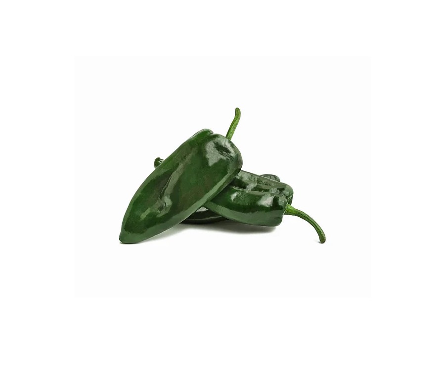 Poblano Pepper
