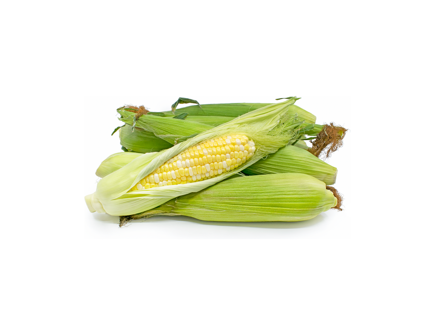 Fresh Bicolor Corn 