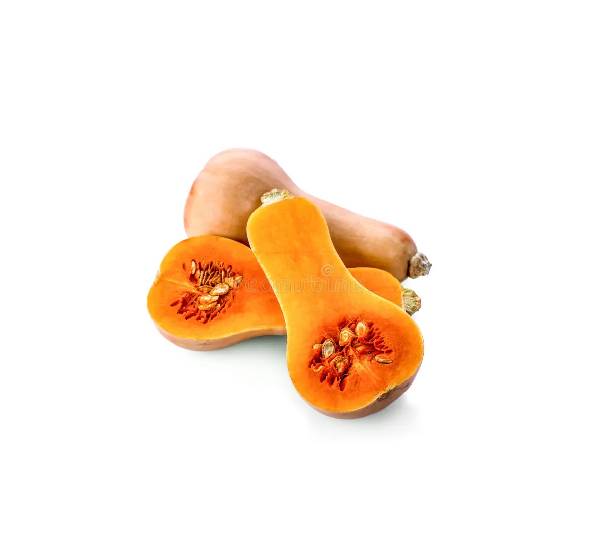 Butternut Squash
