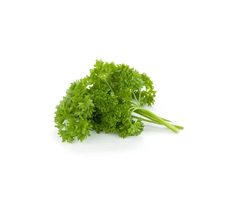 24cnt Curly Parsley