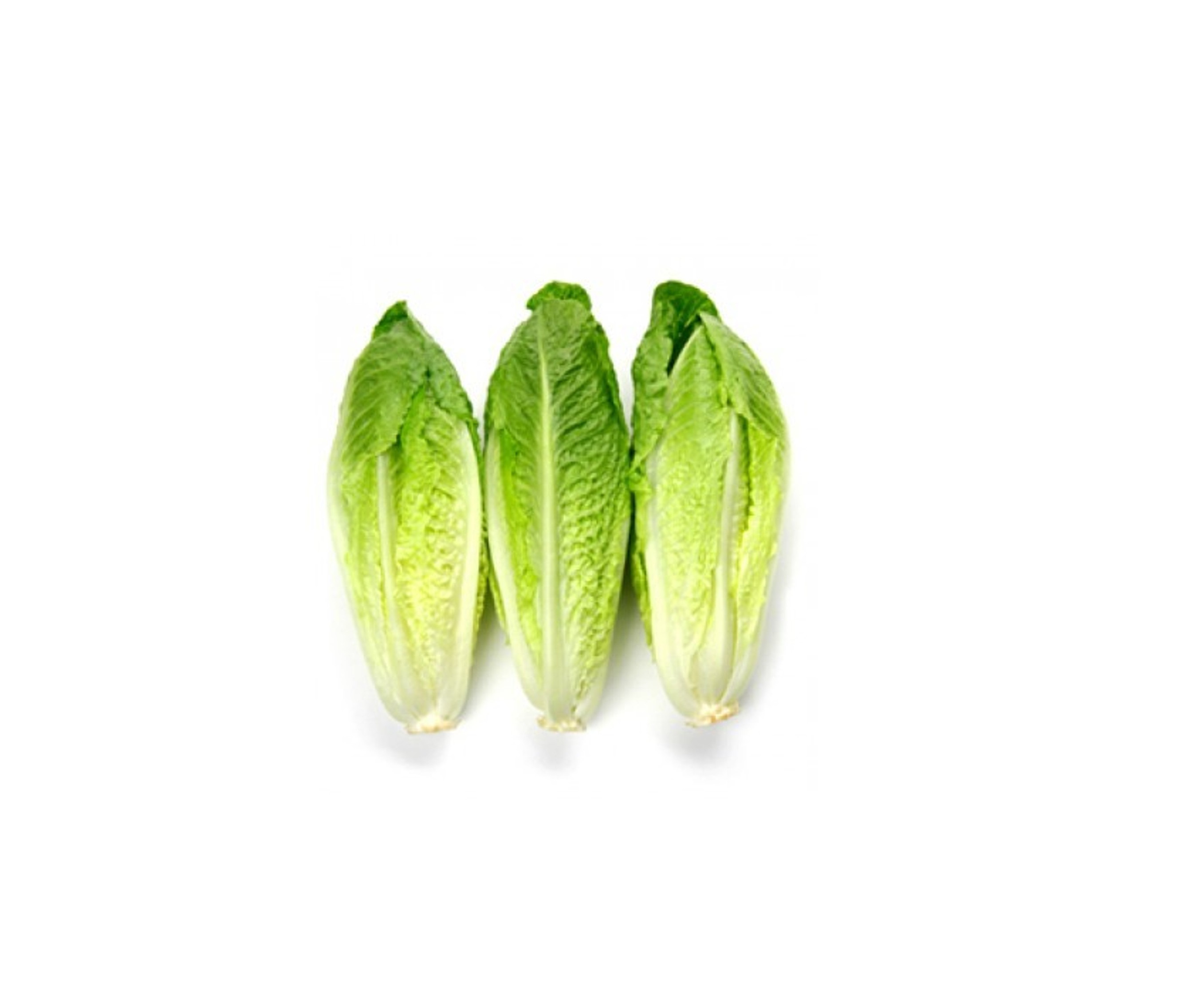 12X3 Romaine Heart Lettuce