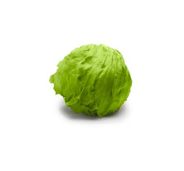 24cnt Iceberg lettuce
