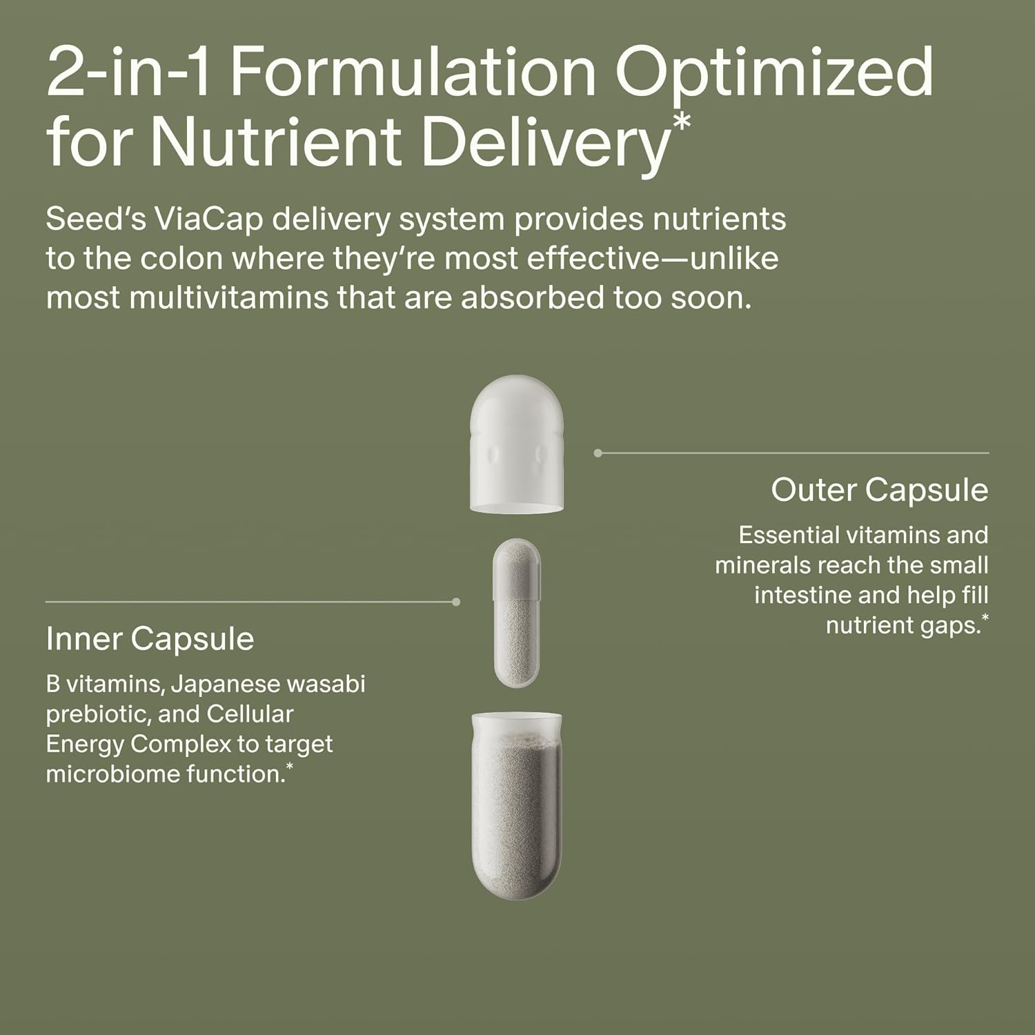 Seed DM-02 Daily Multivitamin