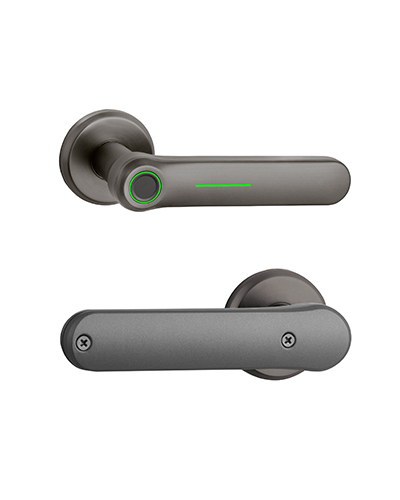 DF006A Smart Door Handle